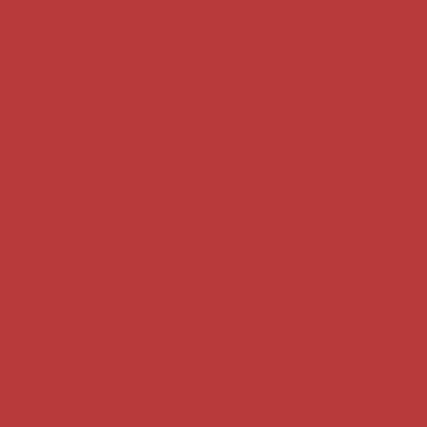 RED BLONK